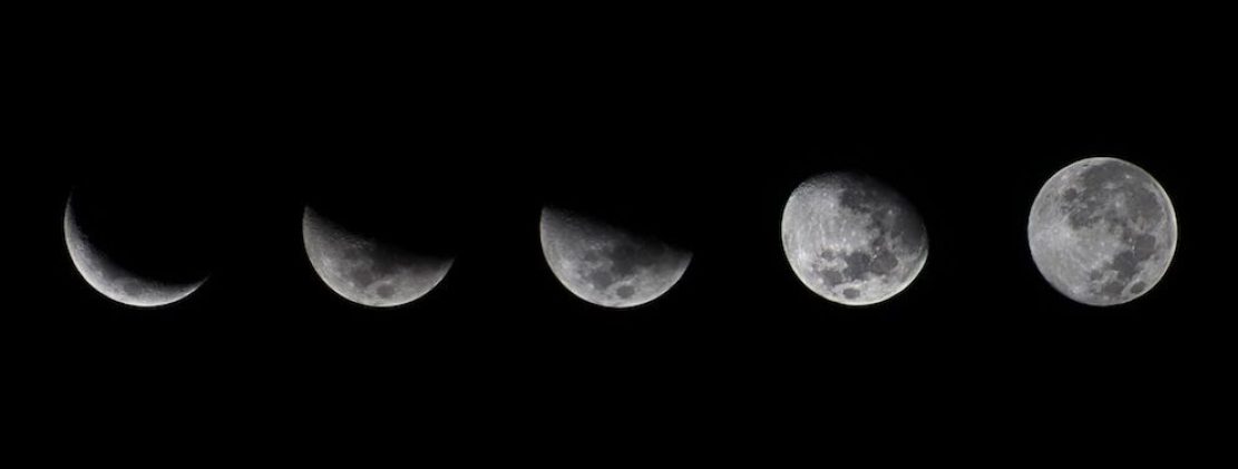 Jardiner avec la Lune
